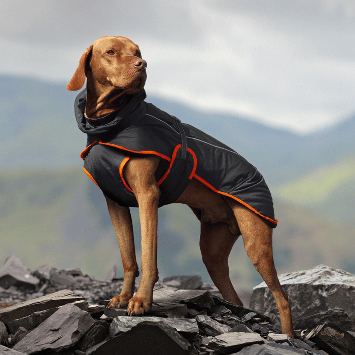 Land Rover Above and Beyond Blizzard Dog Coat